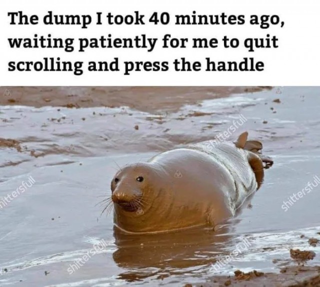 Чтобы я попросил у золотой рыбки сочинение 2 класс Подборка веселых картинок из буржуйских интернетов, с переводом