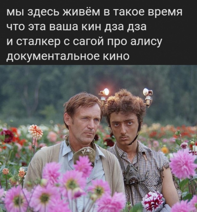 Так себе картинки 09.11.21