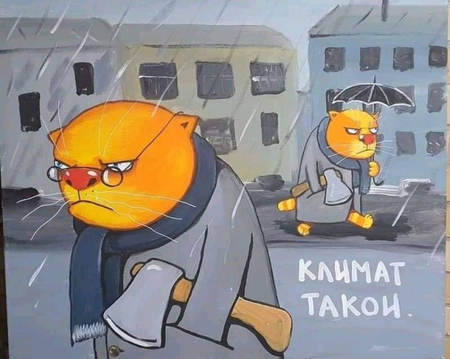 Всяческие картинки 24.11.2021