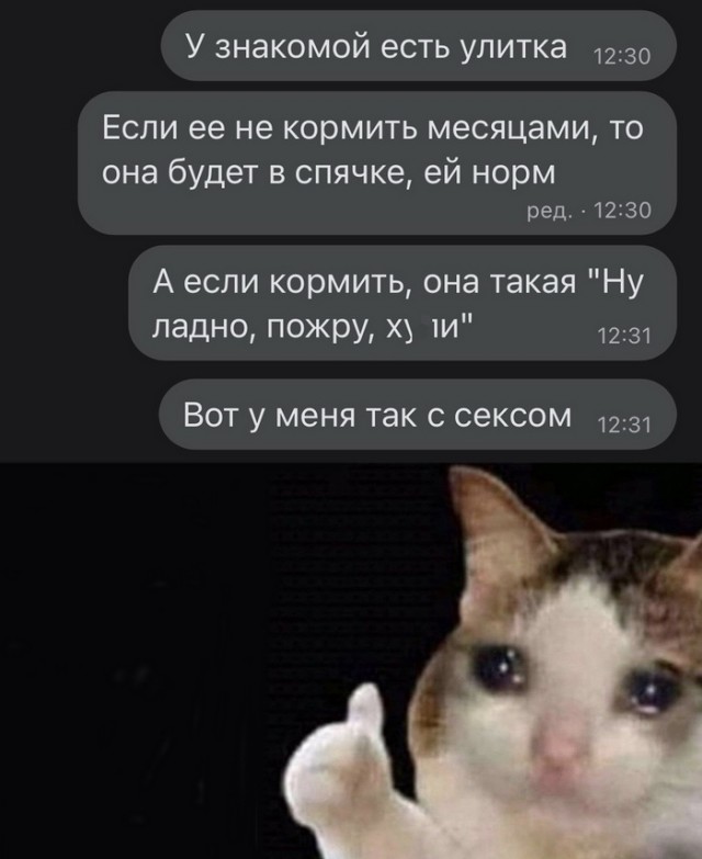 Картинки и мемы для настроения 18.01.2022