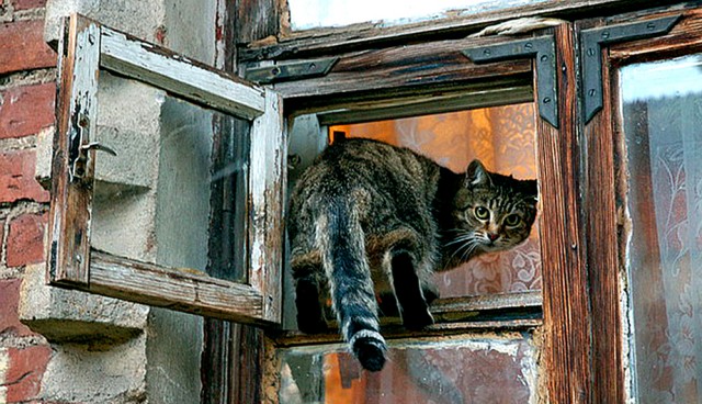 Короткие истории про нас и не про нас (с картинками)