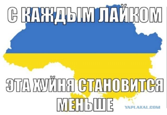 Фотосессия кровавых жертв в Киеве