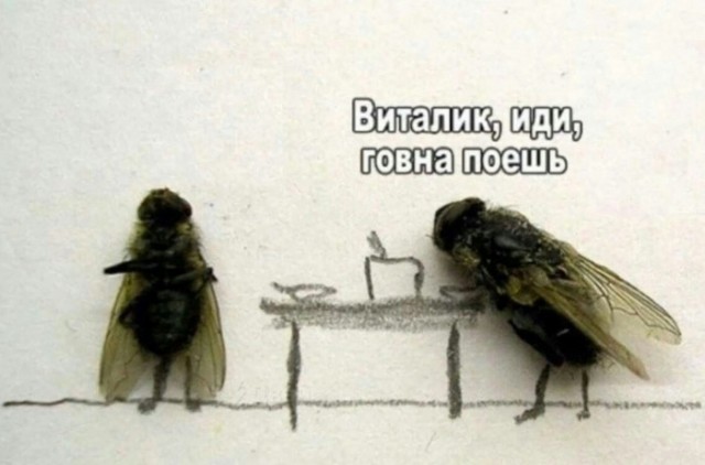 Немного баянов для настроения