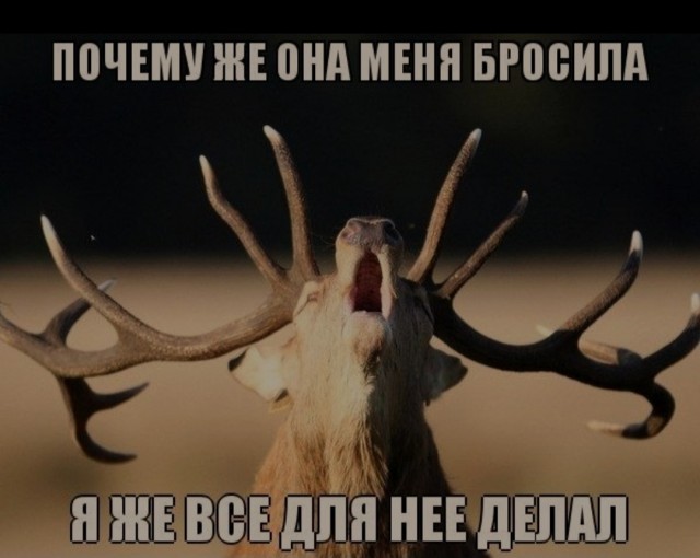 Брачный договор
