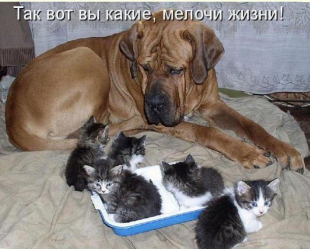 Так себе картинки 18.02.23
