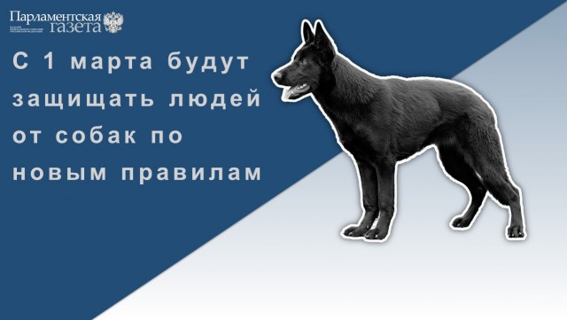 Победная поступь идиотизма по планете – том 9