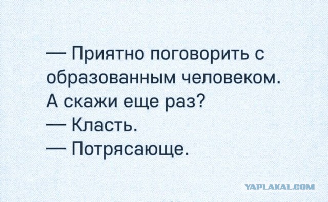 Забавные комментарии из социальных сетей (03.04.23)