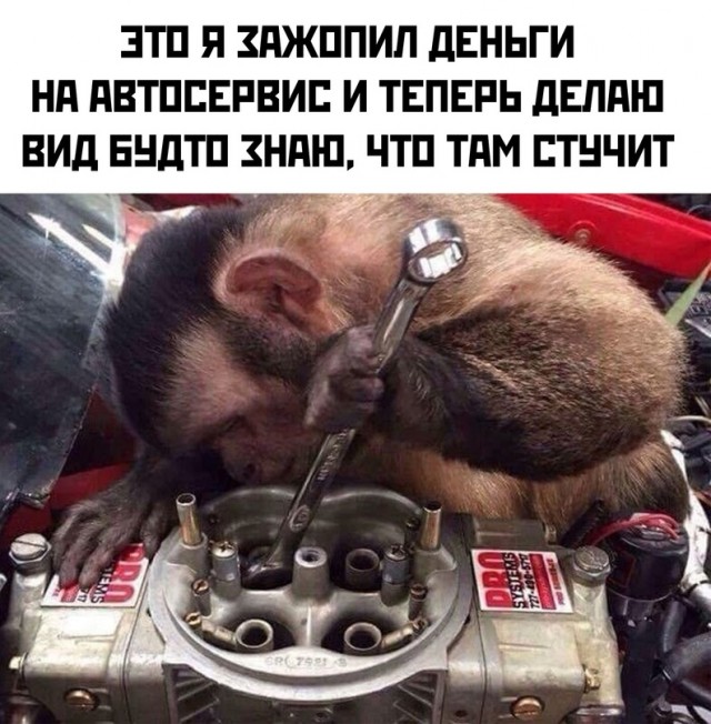 Весёлый полтишок 25.04.23