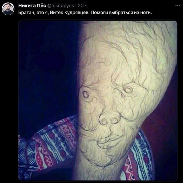 Народная меДИЧина 1005