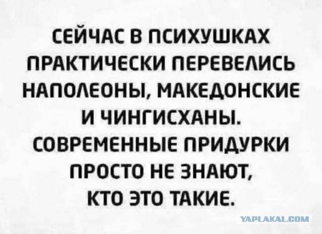 Всего понемногу. От 15.12.23