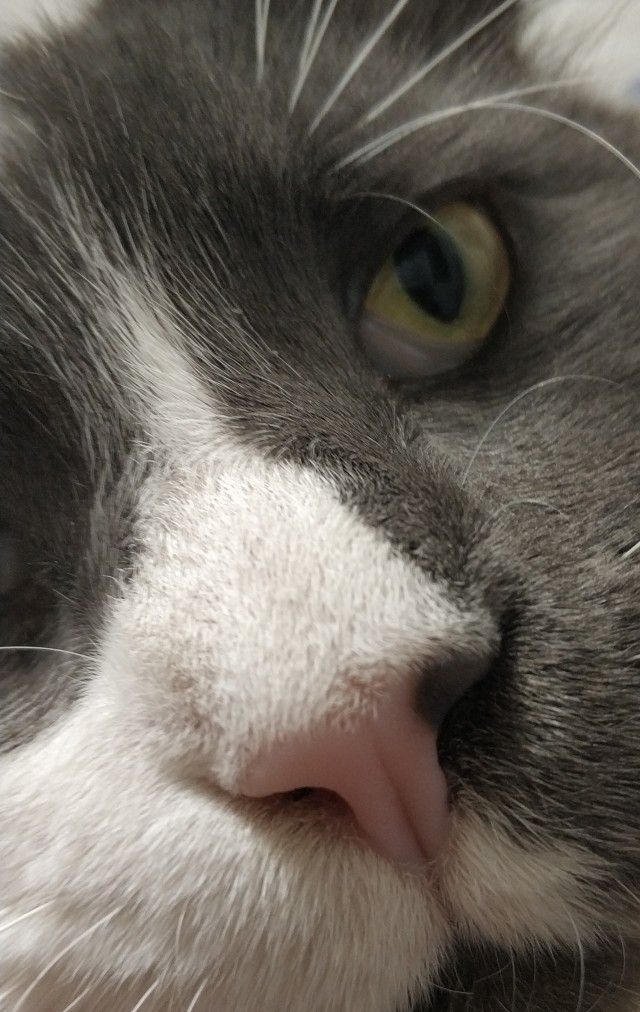 Которабство