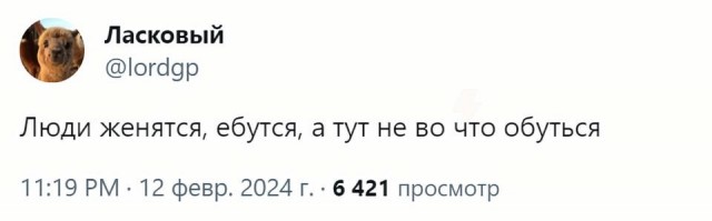 Запоминаем и пользуемся