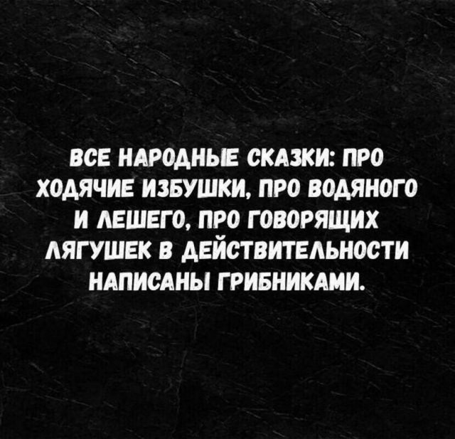 Весёлый полтишок 10.07.24