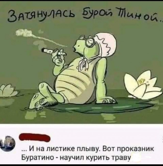 Так себе картинки 17.10.24