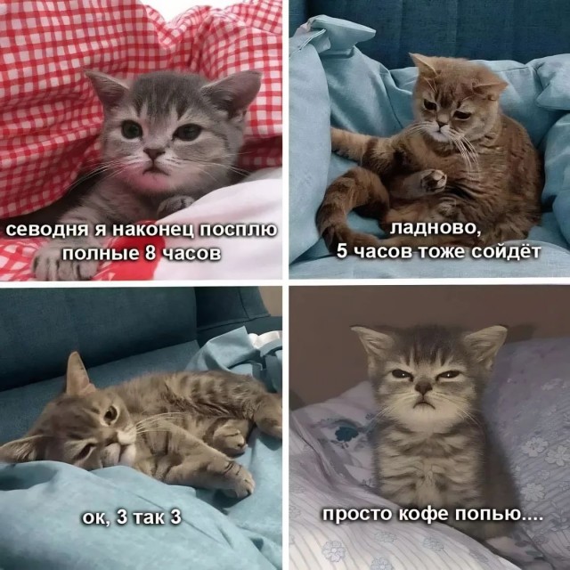 Завалялось тут случайно немного забавных картинок