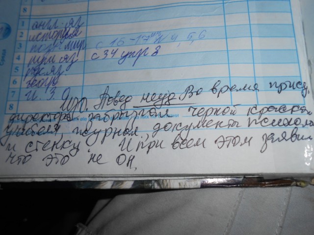 Забавные школьные дневники