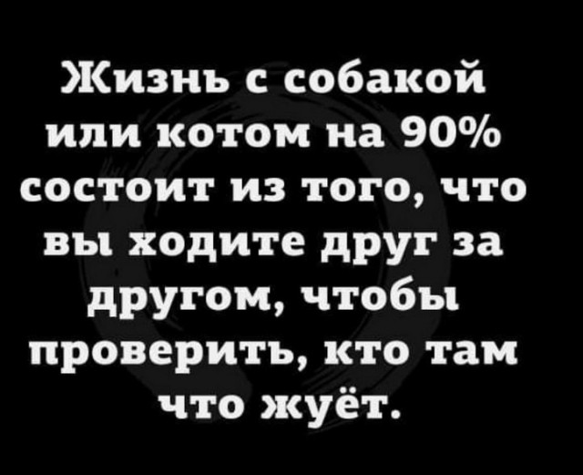 Так себе картинки 05.03.25
