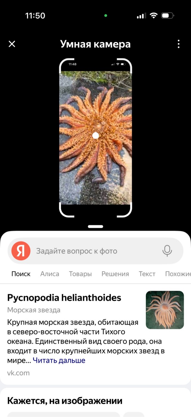 Нёх