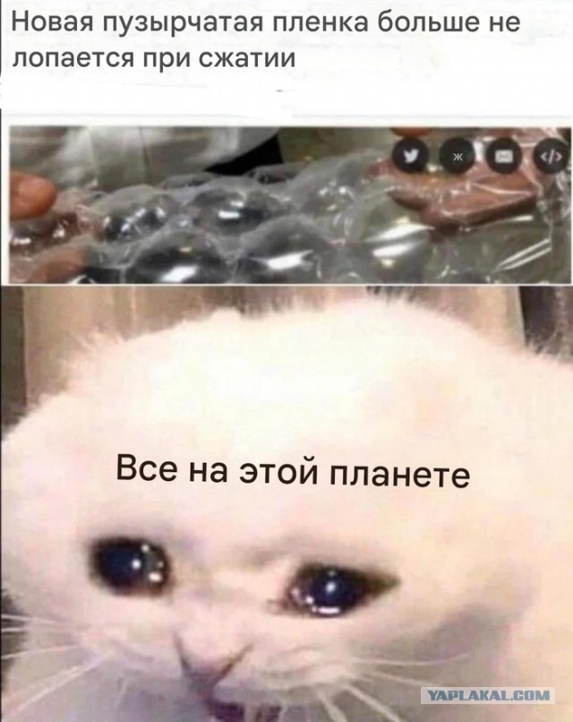 Так себе картинки 17.09.25