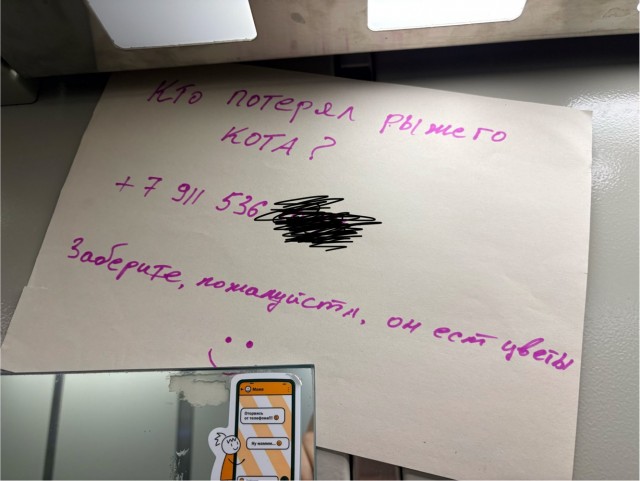 Котовторник.Наши модели