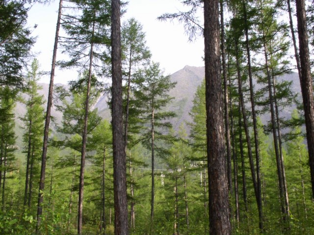 Поездка на БАМ в наше время (53 фото)