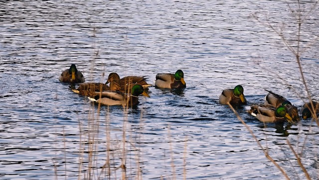 Голубые озера под Казанью