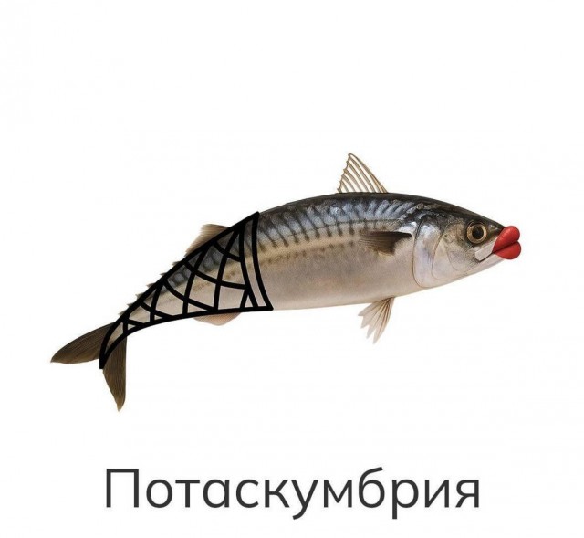Картинки для деградации 162 (разной степени свежести)
