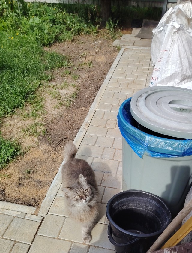 А каков ваш вечер?