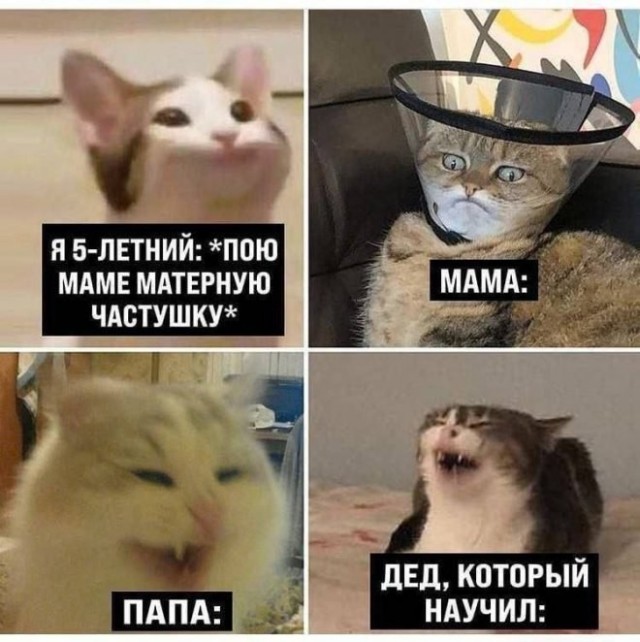 Веселое настроение в картинках 12.08.26