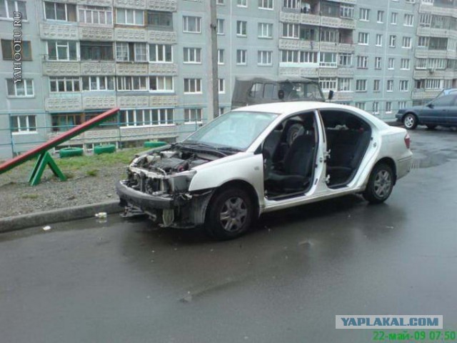 Зверская кража