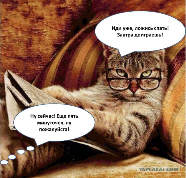 Невероятные приключения котика в доме программиста