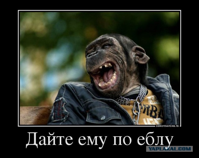 Макаревич о маразме русского народа