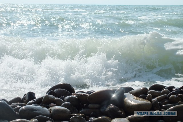 Поездка на Чёрное море. 2014. п. Дедеркой