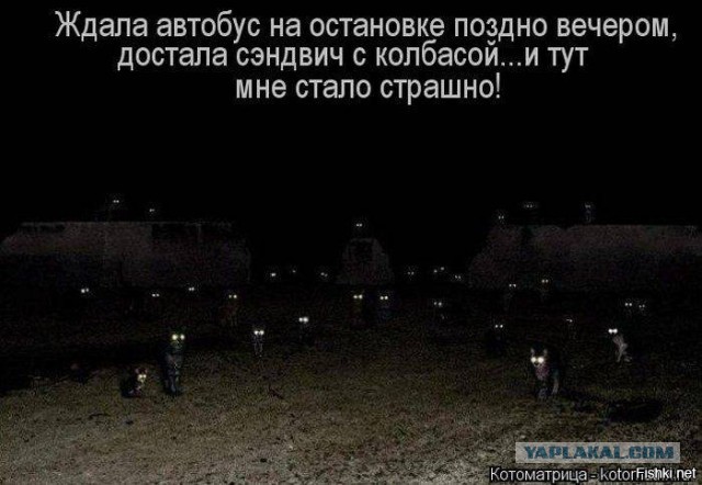 Просто картинки