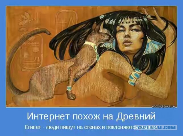 Кот. Просто кот