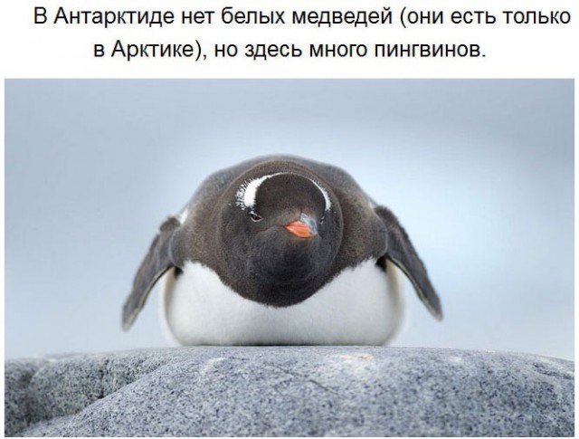 Чего мы не знали об Антарктиде
