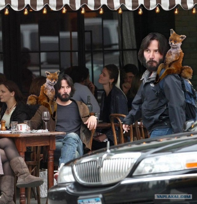 Не желаете ли пожабить