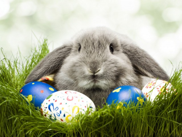 Подборка картинок