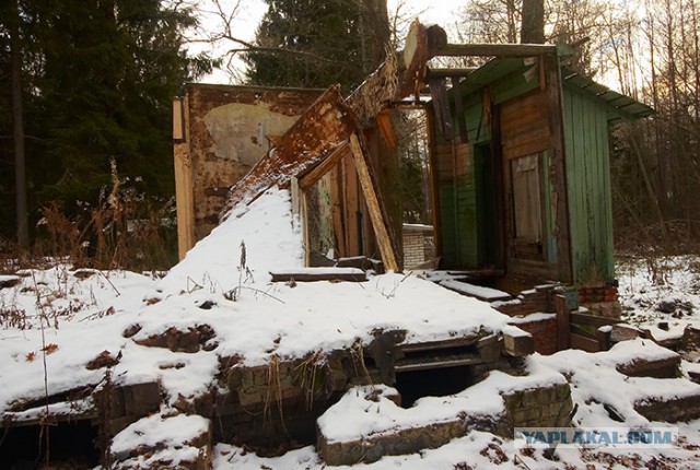 Артек, "ужасы" российской действительности