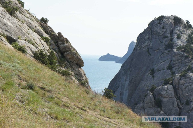 О посещаемости пляжей в Крыму