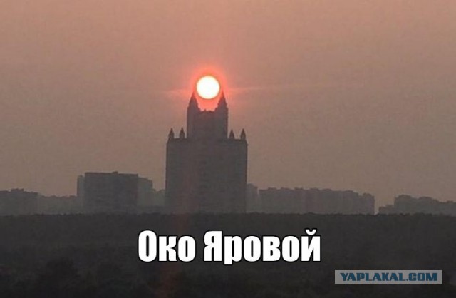 Немного картинок и гифок.