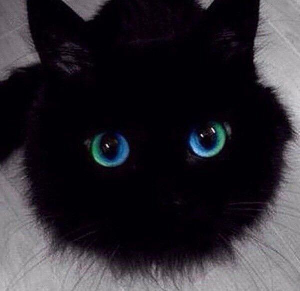 Подборка смешных картинок