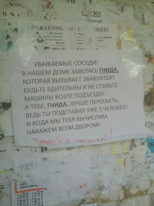 "Развелось стукачей, нормальным людям припарковаться негде!"