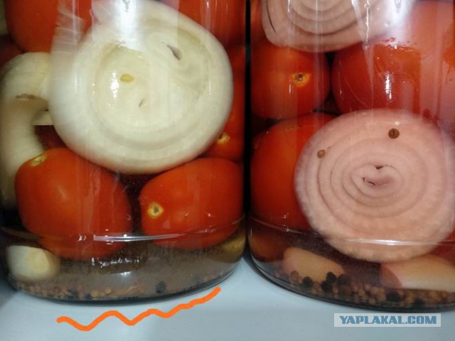 Чесночок на зиму