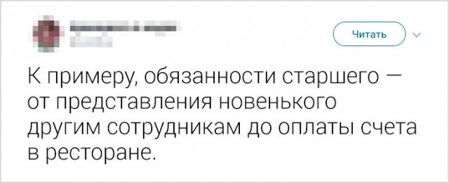 Девушка рассказала о работе в Японии. Спорим, вы бы не хотели оказаться в таком офисе