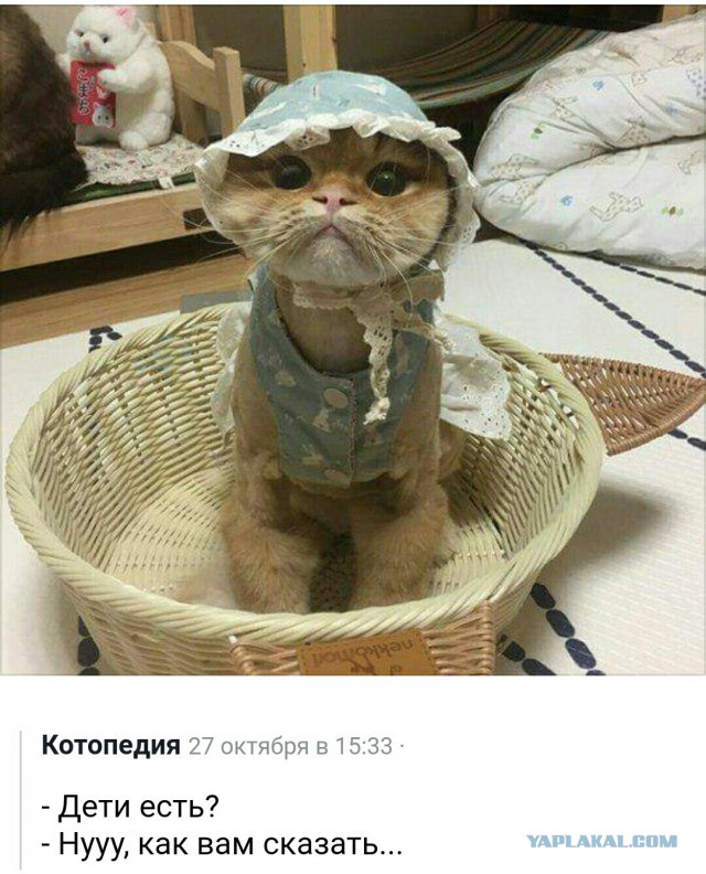 Я тоже хочу попробЫвать с картинками