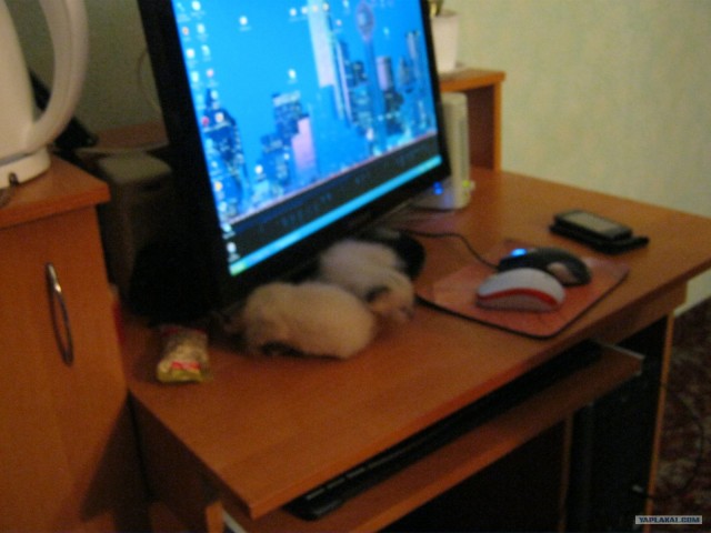 Новые устройства