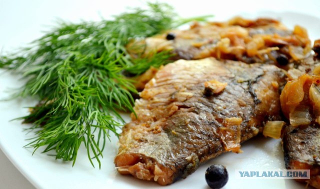 Караси и шпроты.