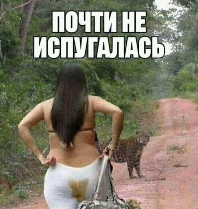 Подборка из этих интернетов