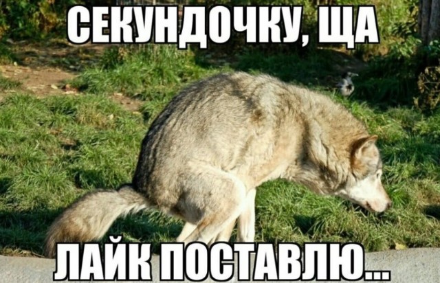 Дом с «сюрпризом»